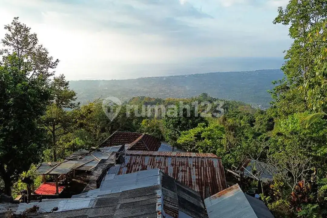 Rumah dan Lahan View Laut di Perbukitan Lovina Sukasada Cocok untuk Hunian dan Retreat