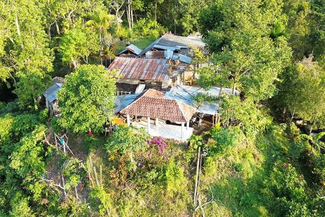 Rumah dan Lahan View Laut di Perbukitan Lovina Sukasada Cocok untuk Hunian dan Retreat