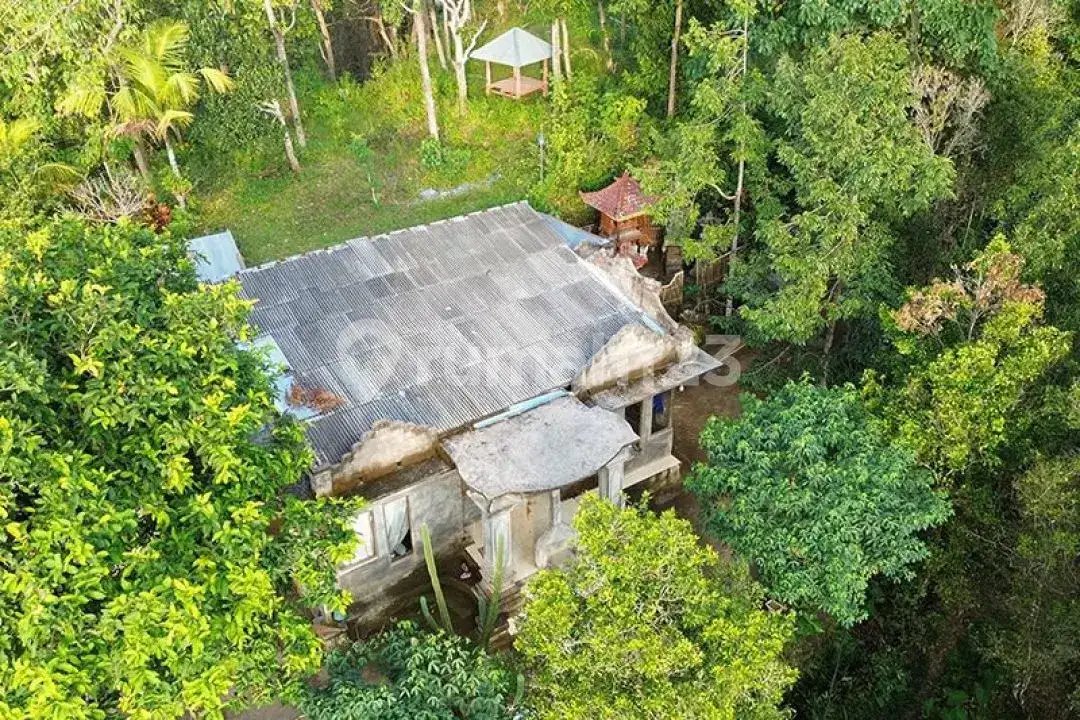 Rumah dan Lahan View Laut di Perbukitan Lovina Sukasada Cocok untuk Hunian dan Retreat