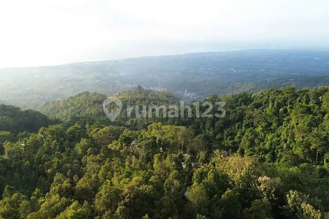 Rumah dan Lahan View Laut di Perbukitan Lovina Sukasada Cocok untuk Hunian dan Retreat