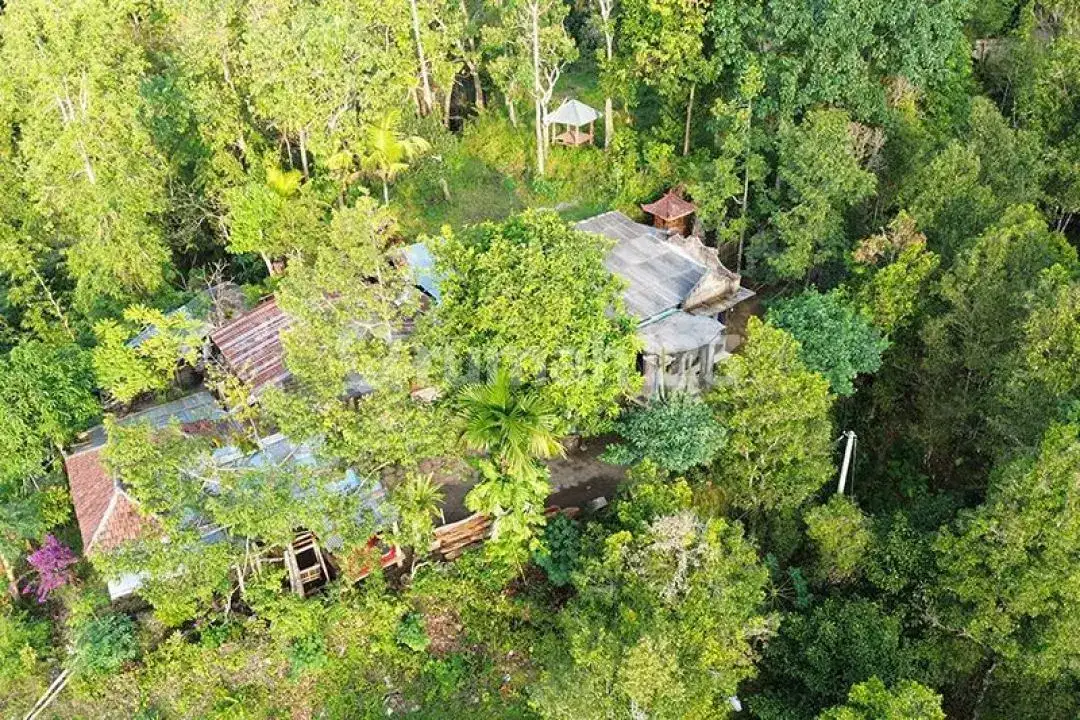 Rumah dan Lahan View Laut di Perbukitan Lovina Sukasada Cocok untuk Hunian dan Retreat