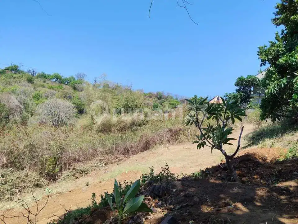 Tanah 24 Are di Temukus Lovina dengan View Laut dan Panorama Alam Cocok untuk Villa