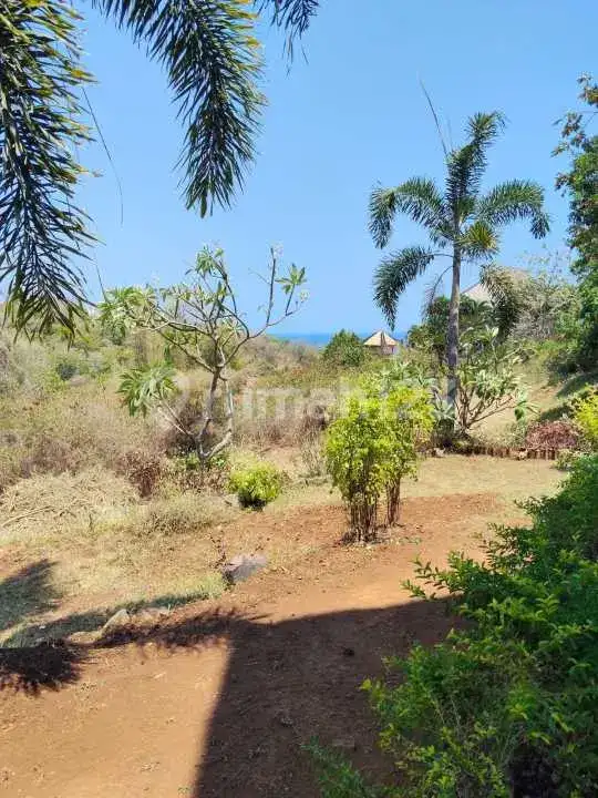 Tanah 24 Are di Temukus Lovina dengan View Laut dan Panorama Alam Cocok untuk Villa