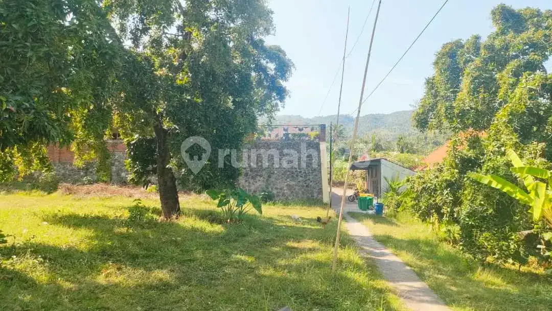 Tanah 10 Are di Kayuputih dengan View Laut Cocok untuk Villa dan Investasi