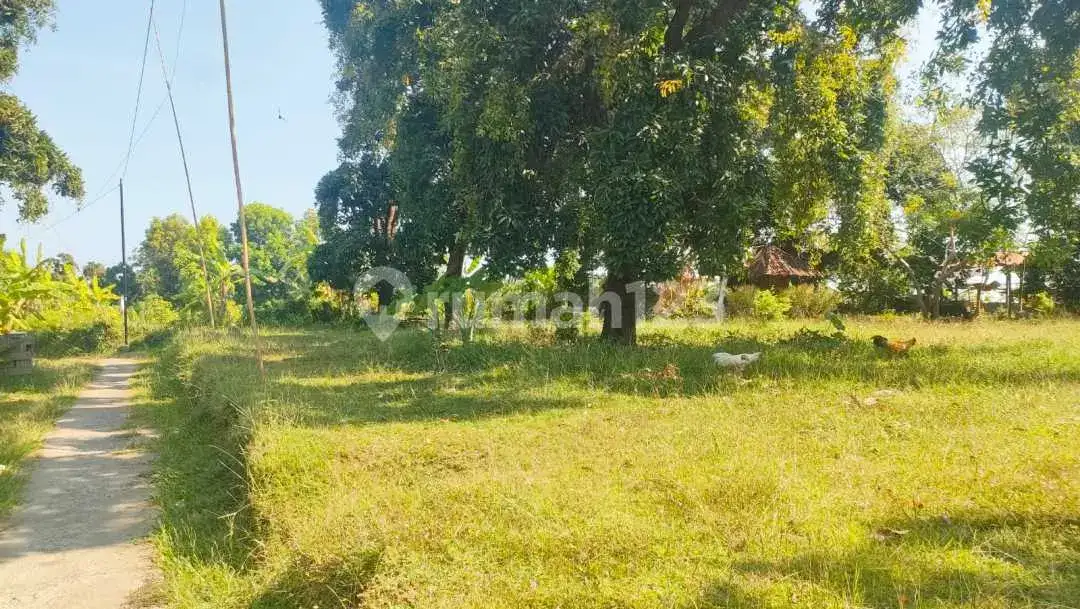 Tanah 10 Are di Kayuputih dengan View Laut Cocok untuk Villa dan Investasi