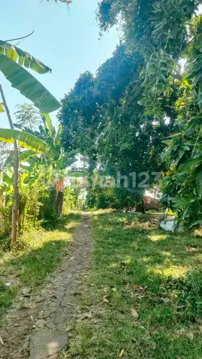 Tanah 10 Are di Kayuputih dengan View Laut Cocok untuk Villa dan Investasi