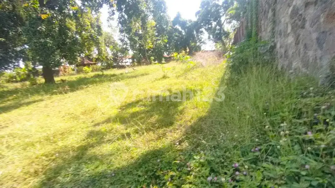 Tanah 10 Are di Kayuputih dengan View Laut Cocok untuk Villa dan Investasi