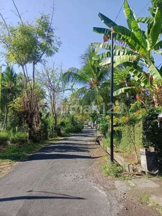 Tanah View Alam dan Laut di Sambangan dengan Akses Aspal Cocok untuk Villa dan Homestay