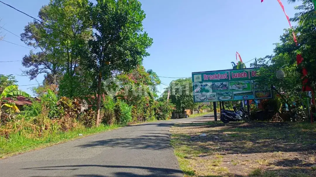 Tanah View Alam dan Laut di Sambangan dengan Akses Aspal Cocok untuk Villa dan Homestay