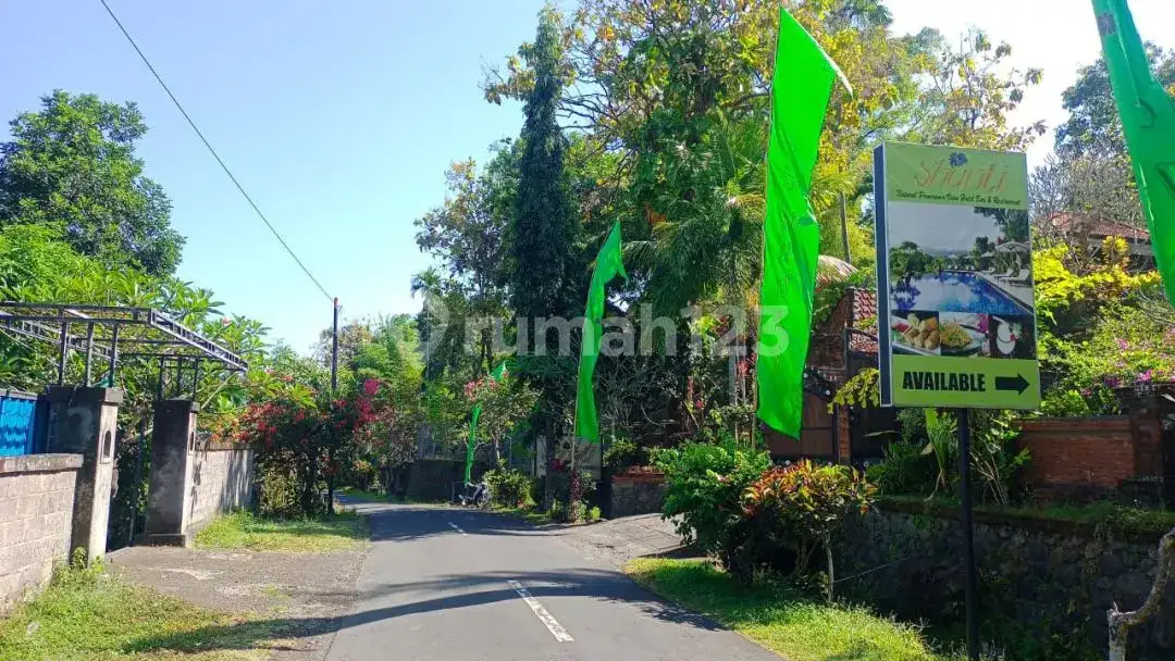 Tanah View Alam dan Laut di Sambangan dengan Akses Aspal Cocok untuk Villa dan Homestay