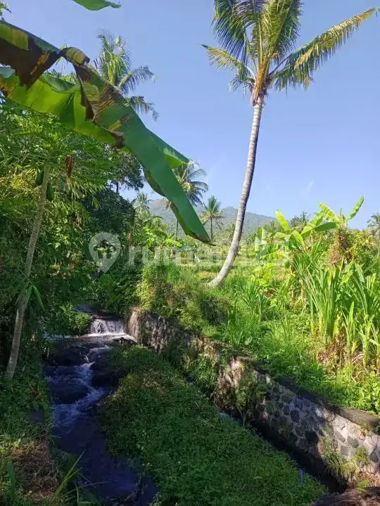Tanah View Alam dan Laut di Sambangan dengan Akses Aspal Cocok untuk Villa dan Homestay