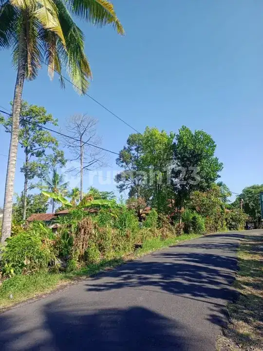 Tanah View Alam dan Laut di Sambangan dengan Akses Aspal Cocok untuk Villa dan Homestay