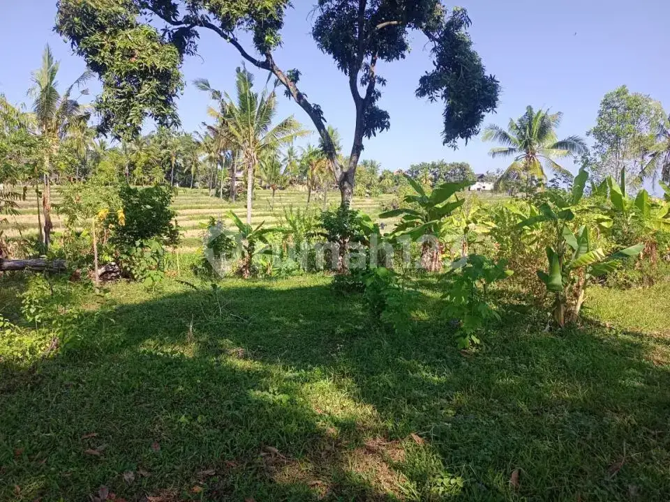 Tanah View Alam dan Laut di Sambangan dengan Akses Aspal Cocok untuk Villa dan Homestay