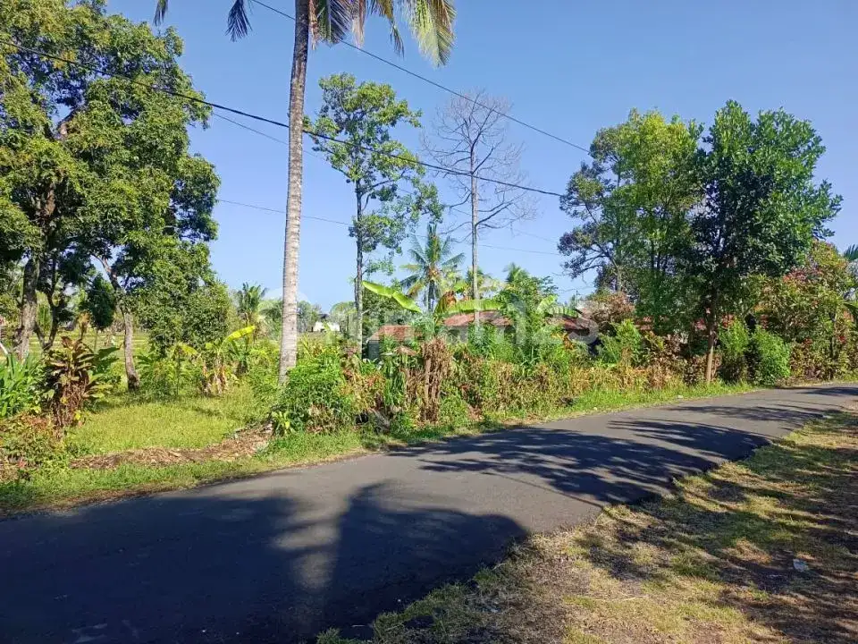 Tanah View Alam dan Laut di Sambangan dengan Akses Aspal Cocok untuk Villa dan Homestay