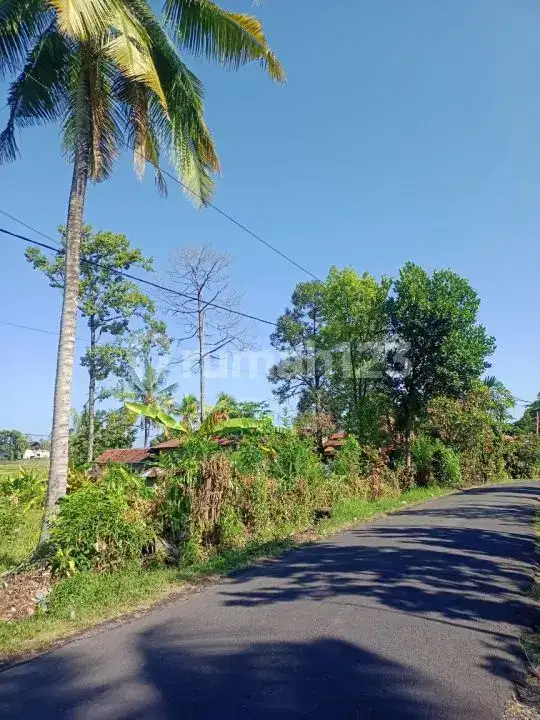 Tanah View Alam dan Laut di Sambangan dengan Akses Aspal Cocok untuk Villa dan Homestay