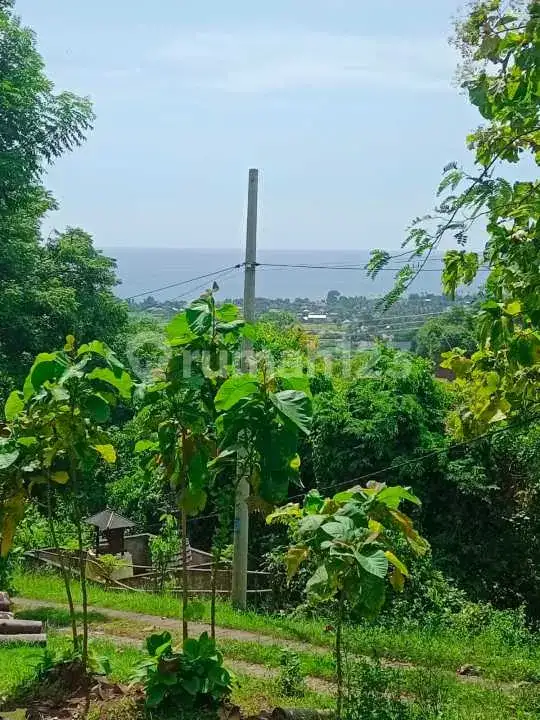 Tanah Datar View Laut di Kayuputih Lovina Cocok untuk Villa dan Investasi