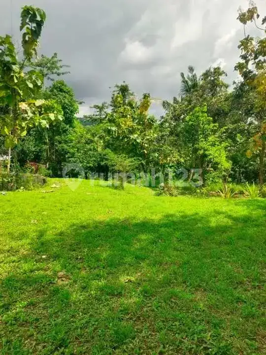 Tanah Datar View Laut di Kayuputih Lovina Cocok untuk Villa dan Investasi