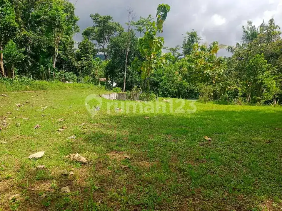 Tanah Datar View Laut di Kayuputih Lovina Cocok untuk Villa dan Investasi