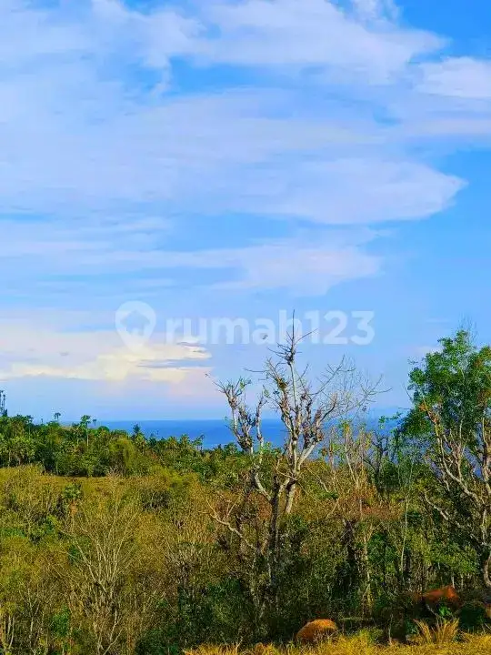 Tanah View Laut di Seraya Karangasem dengan Akses Aspal Siap Bangun