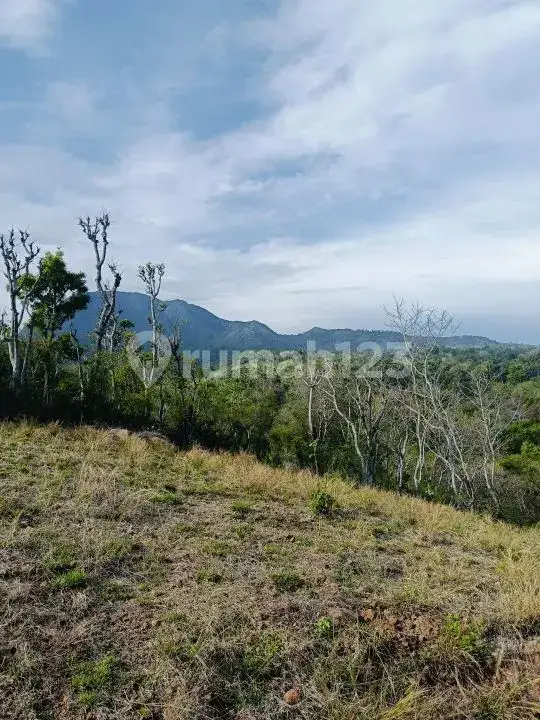Tanah View Laut di Seraya Karangasem dengan Akses Aspal Siap Bangun