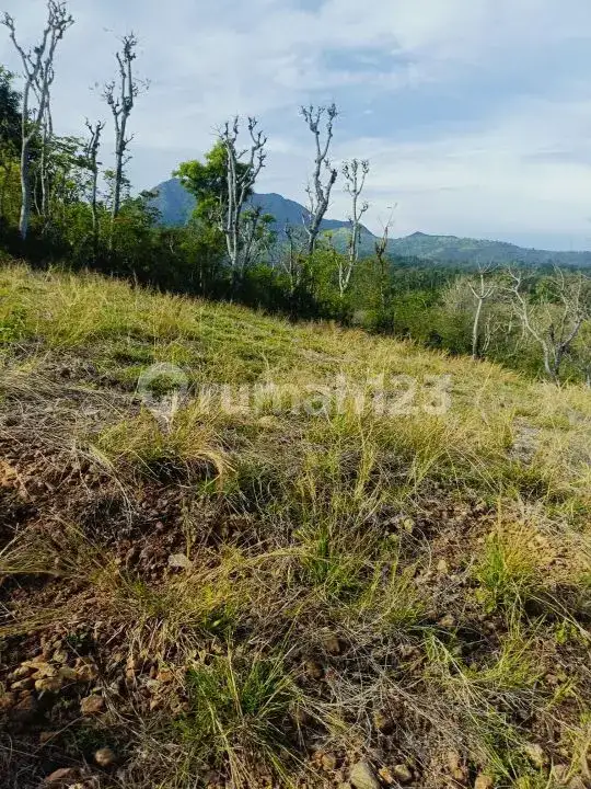 Tanah View Laut di Seraya Karangasem dengan Akses Aspal Siap Bangun