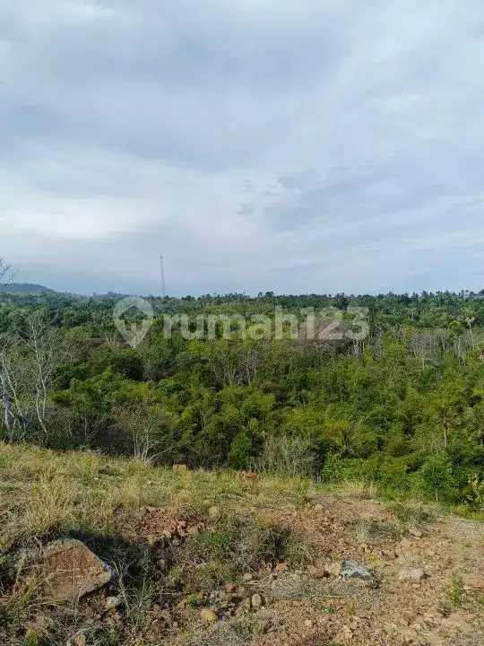 Tanah View Laut di Seraya Karangasem dengan Akses Aspal Siap Bangun
