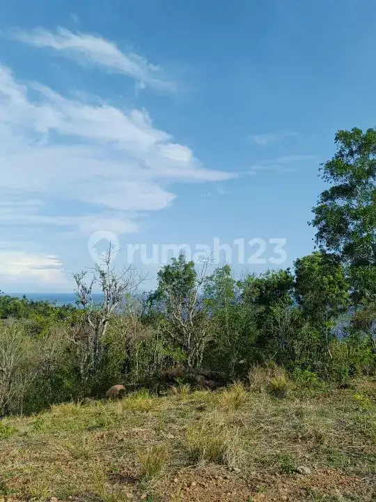 Tanah View Laut di Seraya Karangasem dengan Akses Aspal Siap Bangun