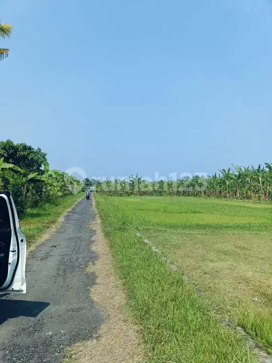 Tanah di Kaliasem Dekat Pusat Lovina Cocok untuk Villa dan Homestay