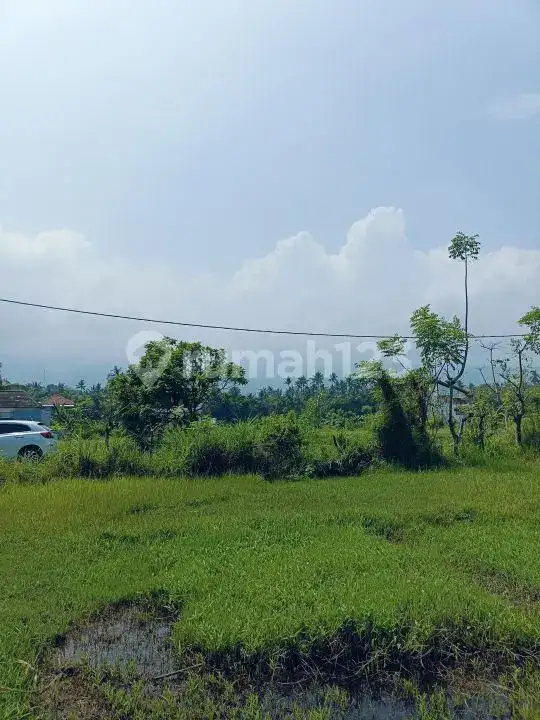 Tanah di Kaliasem Dekat Pusat Lovina Cocok untuk Villa dan Homestay