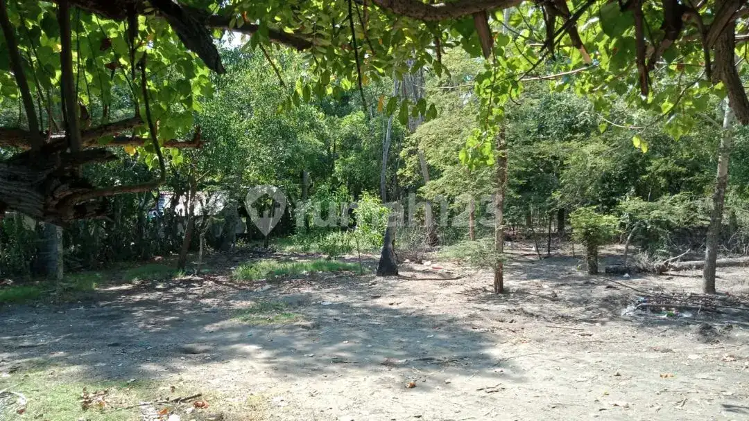 Tanah Beachfront Pasir Putih di Pemuteran Dekat Menjangan Cocok untuk Resort dan Hotel