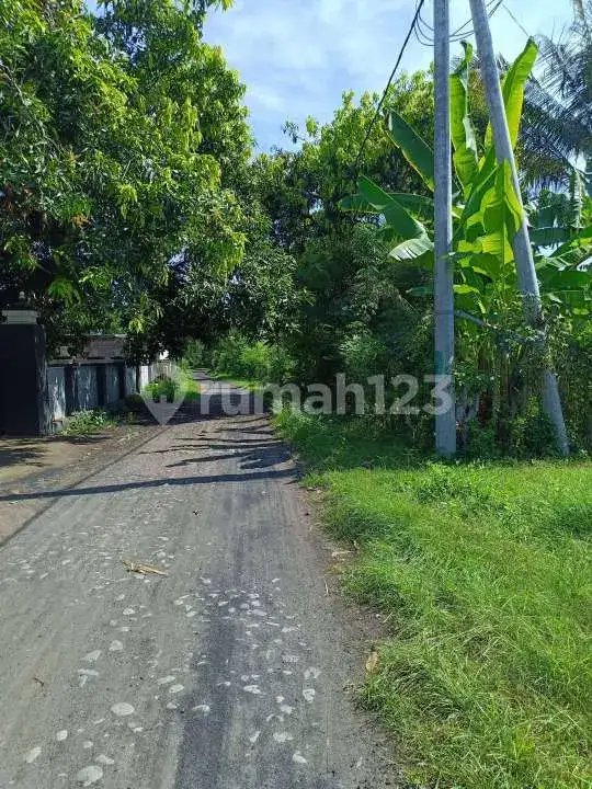 Tanah 7 Are di Pemuteran Dekat Pantai Cocok untuk Villa dan Investasi