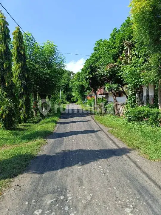 Tanah 7 Are di Pemuteran Dekat Pantai Cocok untuk Villa dan Investasi