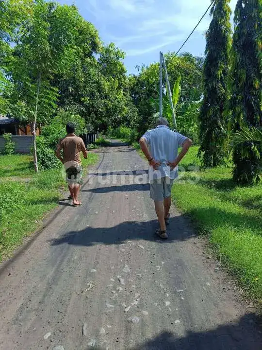 Tanah 7 Are di Pemuteran Dekat Pantai Cocok untuk Villa dan Investasi