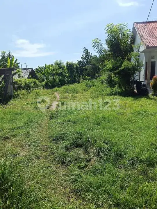 Tanah 7 Are di Pemuteran Dekat Pantai Cocok untuk Villa dan Investasi