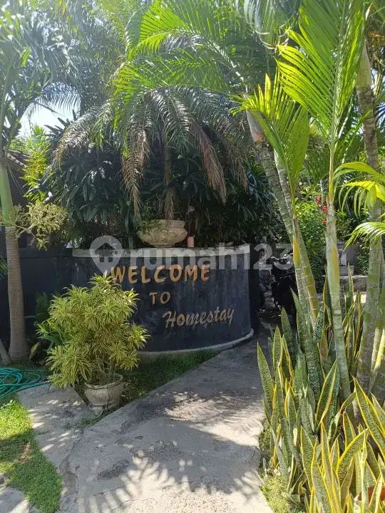 Homestay 3 Kamar Tidur dan Rumah Pribadi di Pemuteran Dekat Pantai Cocok untuk Usaha dan Hunian