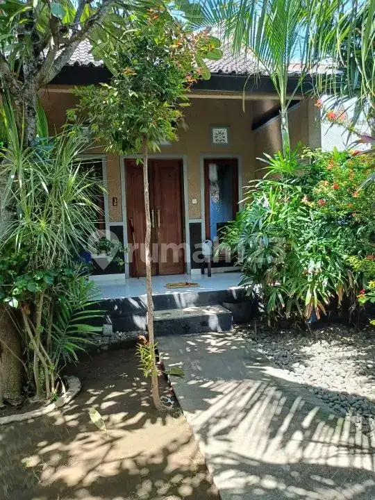 Homestay 3 Kamar Tidur dan Rumah Pribadi di Pemuteran Dekat Pantai Cocok untuk Usaha dan Hunian