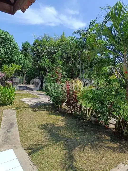 Homestay 3 Kamar Tidur dan Rumah Pribadi di Pemuteran Dekat Pantai Cocok untuk Usaha dan Hunian