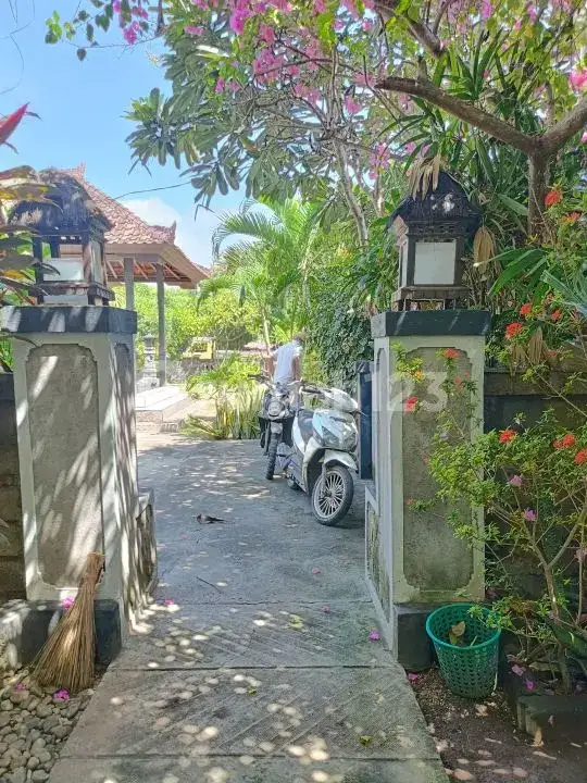 Homestay 3 Kamar Tidur dan Rumah Pribadi di Pemuteran Dekat Pantai Cocok untuk Usaha dan Hunian