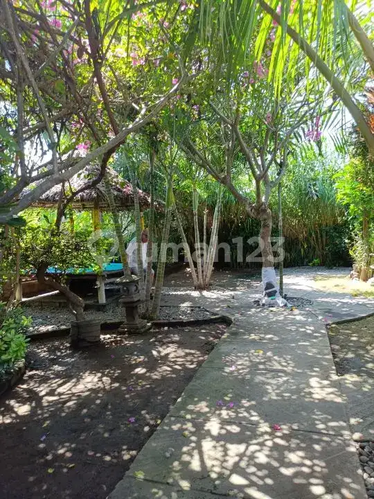 Homestay 3 Kamar Tidur dan Rumah Pribadi di Pemuteran Dekat Pantai Cocok untuk Usaha dan Hunian
