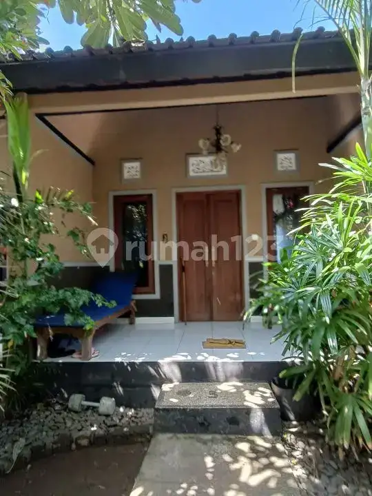 Homestay 3 Kamar Tidur dan Rumah Pribadi di Pemuteran Dekat Pantai Cocok untuk Usaha dan Hunian