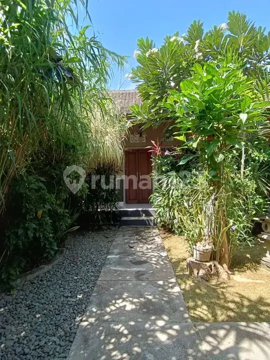 Homestay 3 Kamar Tidur dan Rumah Pribadi di Pemuteran Dekat Pantai Cocok untuk Usaha dan Hunian