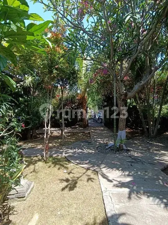 Homestay 3 Kamar Tidur dan Rumah Pribadi di Pemuteran Dekat Pantai Cocok untuk Usaha dan Hunian