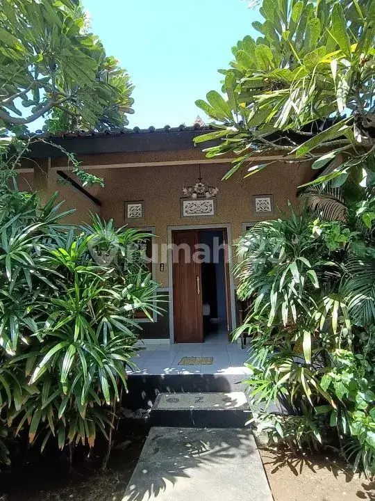 Homestay 3 Kamar Tidur dan Rumah Pribadi di Pemuteran Dekat Pantai Cocok untuk Usaha dan Hunian