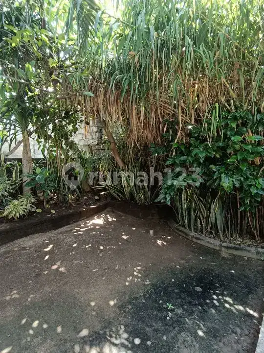 Homestay 3 Kamar Tidur dan Rumah Pribadi di Pemuteran Dekat Pantai Cocok untuk Usaha dan Hunian