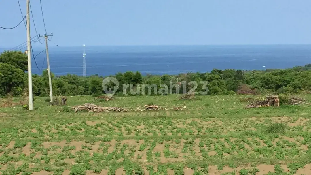 Tanah Luas 237 Are di Tulamben dengan View Laut dan Gunung Agung Cocok untuk Resort dan Hotel