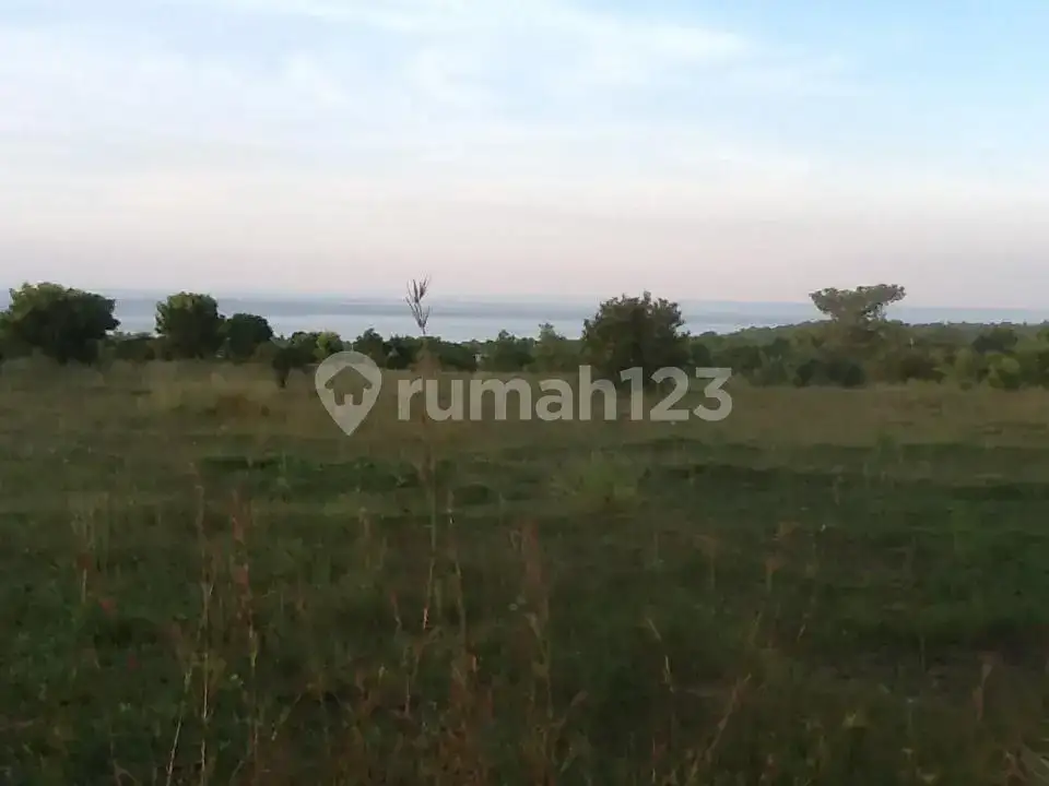 Tanah Luas 237 Are di Tulamben dengan View Laut dan Gunung Agung Cocok untuk Resort dan Hotel