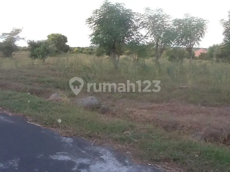 Tanah Luas 237 Are di Tulamben dengan View Laut dan Gunung Agung Cocok untuk Resort dan Hotel