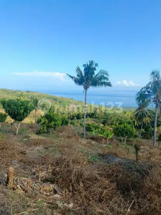 Tanah 9 Hektar View Laut di Kubutambahan Buleleng Cocok untuk Hotel dan Resort