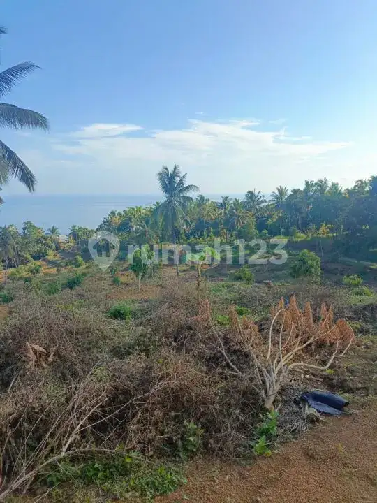 Tanah 9 Hektar View Laut di Kubutambahan Buleleng Cocok untuk Hotel dan Resort