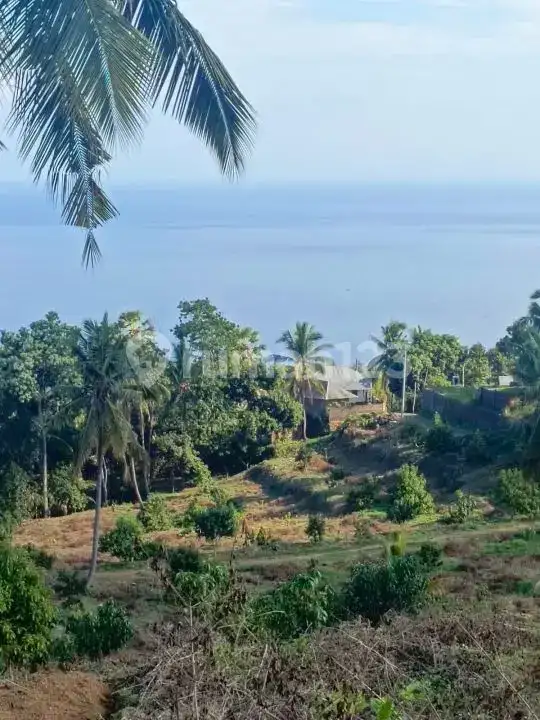 Tanah 9 Hektar View Laut di Kubutambahan Buleleng Cocok untuk Hotel dan Resort
